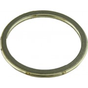 Image for Gasket Ring