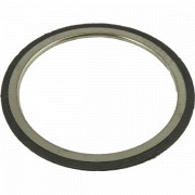 Image for Gasket Ring