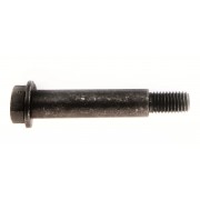 Image for Bolt