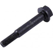 Image for Bolt