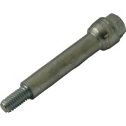 Image for Bolt