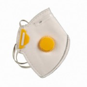 Image for Economy Dust Mask - With Valve