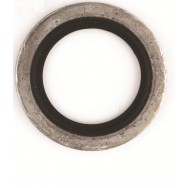 Image for Imperial Dowty Washers - 7/8? ID