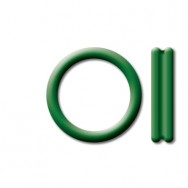 Image for O-Ring - Double Lip 16mm Green