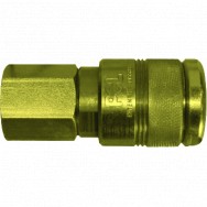 Image for 100 Series Female Coupling