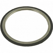 Image for Gasket Ring