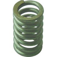 Image for Spring