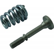 Image for Bolt with Spring