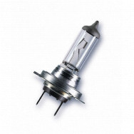 Image for N499A H7 24V BULBS BOXED