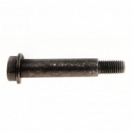 Image for Bolt