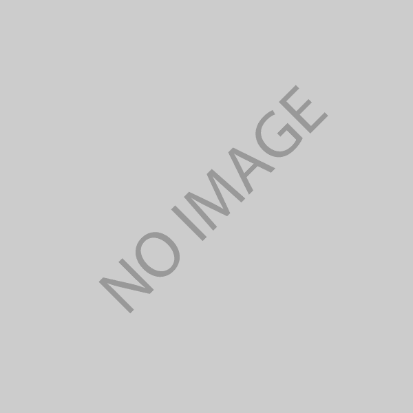 Image for Torches